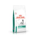 Racao-Royal-Canin-Veterinary-Diet-Diabetic-para-Caes-Adultos-15kg