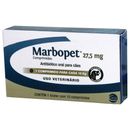 Antibiotico-Marbopet-Ceva--275mg-10-Comprimidos