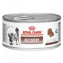 Alimento-Umido-Royal-Canin-Lata-Veterinary-Diet-Recovery-para-Caes-e-Gatos-195G