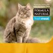 Racao-Formula-Natural-FreshMeat-para-Gatos-Filhotes-Sabor-Frango-1kg