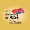 -Racao-Quatree-Gourmet-Delicias-do-Mar-Gatos-Castrados-20Kg-