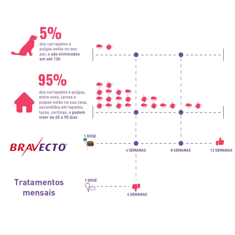 BRAVECTO 20KG A 40KG 1000MG MSD - Dogsshop