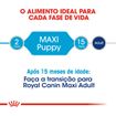 Royal-Canin-Maxi-Junior-15kg