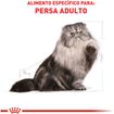 Racao-Royal-Canin-para-Gatos-Adultos-da-Raca-Persian-15Kg