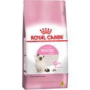 Kitten-Royal-Canin-