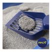 Areia-Pipicat-Ultra-Dry-para-Gatos-4KgDogsShop3