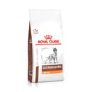 Racao-Royal-Canin-Veterinary-Diet-Gastro-Intestinal-Low-Fat-para-Caes-Adultos-10-1kg