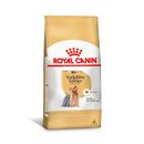 Racao-Royal-Canin-para-Caes-Adultos-da-Raca-Yorkshire-1kg