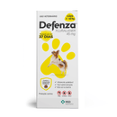 Defenza